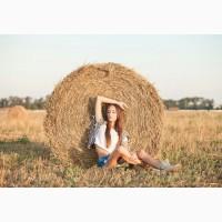 Солома пшеницы