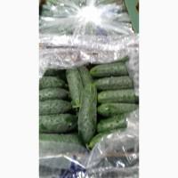 Продам помідор