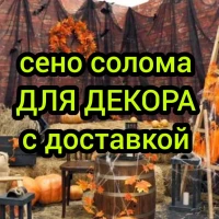 В наличии зелёное сено и золотистая солома для декора. Доставка по Украине