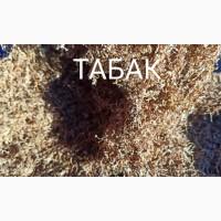 Продам табак Берли, Вирджиния, Вирджиния гол