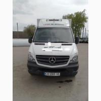 Mercedes benz 313 рефрижератор 2016