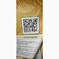 Виробник! Реалізуємо насіння соняшника під Гранстар, Евролайтінг, Класичний