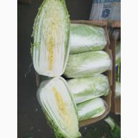 Продам пікінку