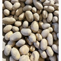Продам картоплю