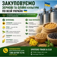 Закупка зернових, олійних, бобових. База, некондиція