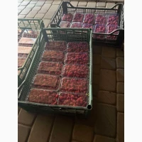Малина продаємо