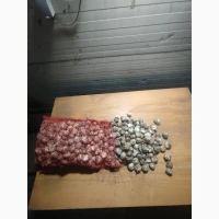 ФГ реалізує Часник 30мм 4000кг