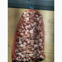 ФГ реалізує Часник 30мм 4000кг