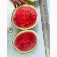 Продам арбуз мелкая калибровка