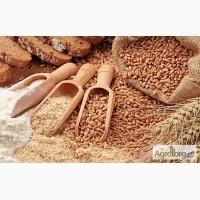 Продам крупы в ассортименте от производителя