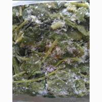 Щавель замороженный