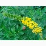 Репешок (Парило)Rzepik ziele(Agrimonia eupatoria ) за 1 кг