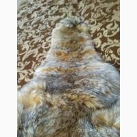 Шкура рыси
