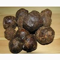 Продам прополіс