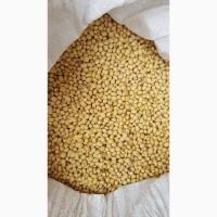 Очистка, калибровка, протравка подсолнуха, кукурузы, сои, гречки (продам