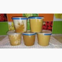 Продам мед оптом 70 грн кг