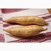 Батат Маточный клубень10сортов Для едыЭКО продуктДля прикорму малюкам кремова оранж фиолет