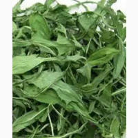 Куплю листя кульбаби