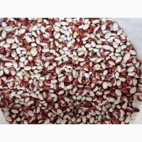 Куплю Фасоль Червона Шапочка