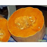 Продам тыкву (кашную) мускатную