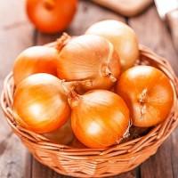 Купуємо цибулю ріпчасту оптом! Київ та область