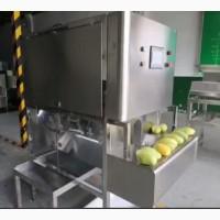 Очищення від шкірки та видалення кісточки манго STvega MP H800A