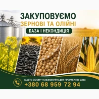 Закуповуємо зернові та олійні: база і некондиція