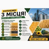 Закупівля зернових та олійних культур