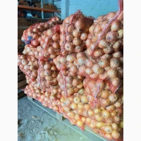 Продам цибулю (врожай 2026)