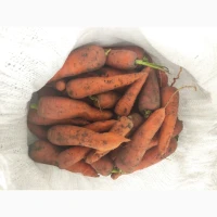 Продам моркву