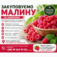 Купуємо малину на заморозку