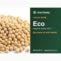 Горох ярий Есо - насіння еліта, РН-1