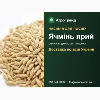 Продам насіння ярого ячменю - КВС Джессі, КВС Таліс, РЖТ Планет