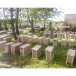 Продам пчелопакеты Карпатка в Днепропетровской обл