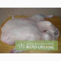 Продажа : Мясо Дикой утки