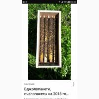 Бджолопакет