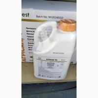 Агрісан - Інсектицидний протруйник для обробки насіння зернових і овочевих культур