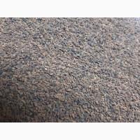 Семена фацелии Алёна - 1реп