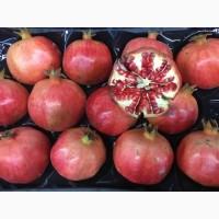 Гранат, Турция