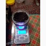 Продам бджолиний підмор