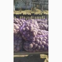 Продам картоплю