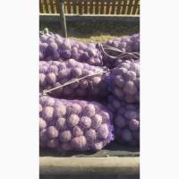 Продам картоплю