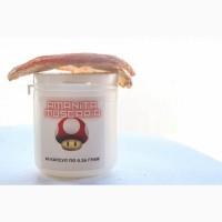 Мухомор Червоний у Капсулах 60шт. х 0.36г