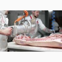 М#039; ясо оптом від виробника. Напівтуші свинні, елементи та субпродукти