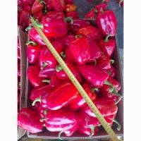 Продам перець з поля