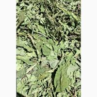 Куплю лист кульбаби