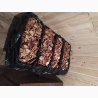 Червоні мухомори 2025