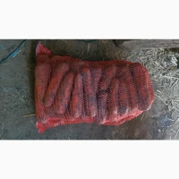 Продам моркву