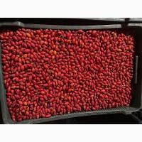 Продам шипшину заморожену