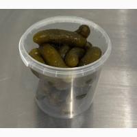 Продам квашені (солоні) огірки